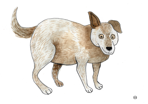 Otwarcie parku kieszonkowego w Wołominie