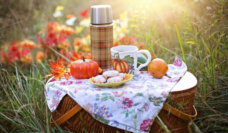 Marki - podwieczorek na trawie