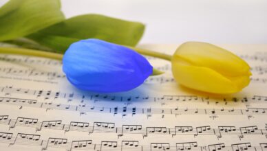 Wieczór Ukraiński w Markach