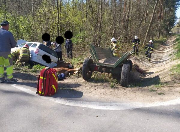 Zderzenie samochodu osobowego z wozem konnym