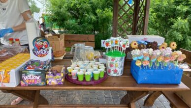 Czysty Franciszków w gminie Tłuszcz