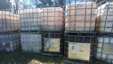 Trujące znalezisko w Postoliskach