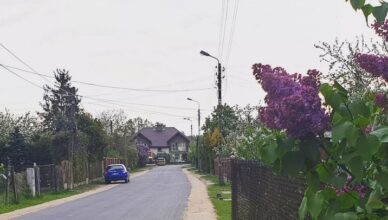 Mareckie metamorfozy