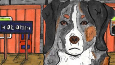 Wołomin - wyniki konkursu „Legenda o Miśku”