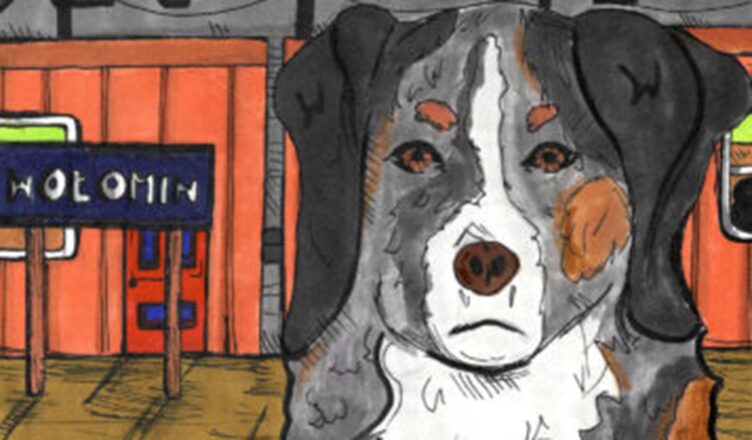 Wołomin - wyniki konkursu „Legenda o Miśku”