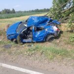 Śmierć na drodze wojewódzkiej 559