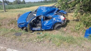 Śmierć na drodze wojewódzkiej 559