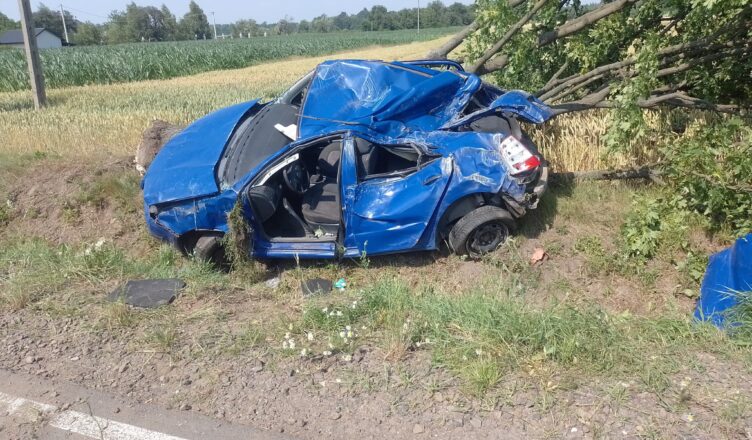 Śmierć na drodze wojewódzkiej 559