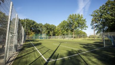 Rezerwacja Orlików w Markach