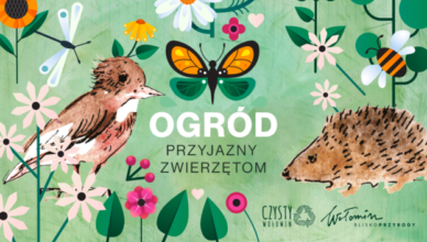 Wołomin: Konkurs „Ogród przyjazny zwierzętom”