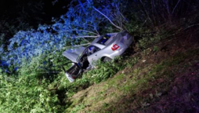 Tragiczne w skutkach zderzenie osobówki z łosiem