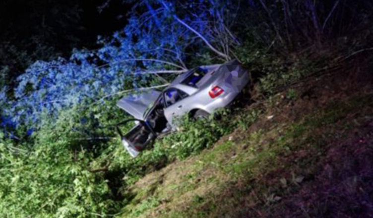 Tragiczne w skutkach zderzenie osobówki z łosiem