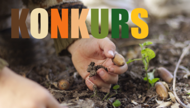 Kobyłka - konkurs - WIELKA ZBIÓRKA ŻOŁĘDZI