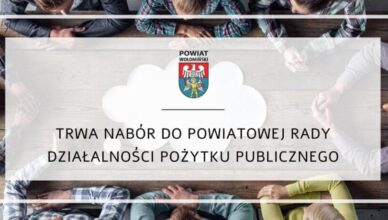 Nabór do Powiatowej Rady Działalności Pożytku Publicznego w powiecie wołomińskim