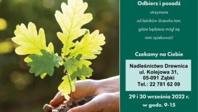 Nadleśnictwo Drewnica zaprasza do udziału w akcji #sadziMY
