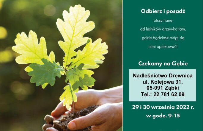 Nadleśnictwo Drewnica zaprasza do udziału w akcji #sadziMY