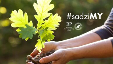 Posadź drzewo z Prezydentem RP i leśnikami