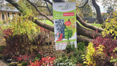 Wołomin - wielkie święto miłośników drzew