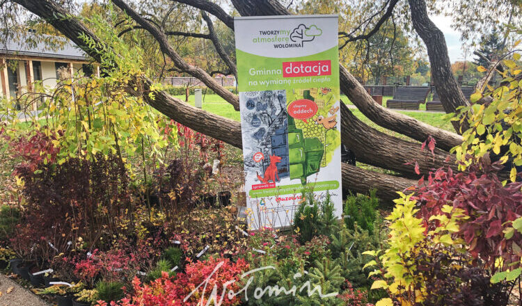 Wołomin - wielkie święto miłośników drzew