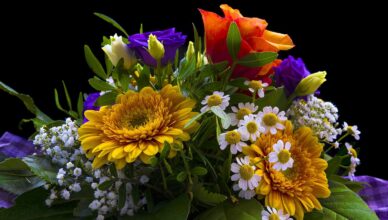 Dzień Komisji Edukacji Narodowej w Markach