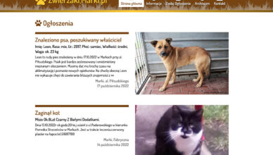 Wejdź na zwierzaki.marki.pl