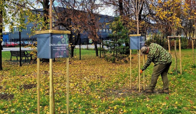 Jesienne nasadzenia w Markach