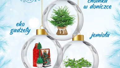 Zielonka - ostatnia Zielona Sobota z choinką