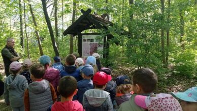 Wołomin: Zielone Klasy i Grupy – rośnie liczba miłośników przyrody!