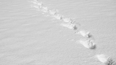 Włamywacz ślady na śniegu