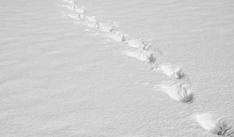 Włamywacz ślady na śniegu