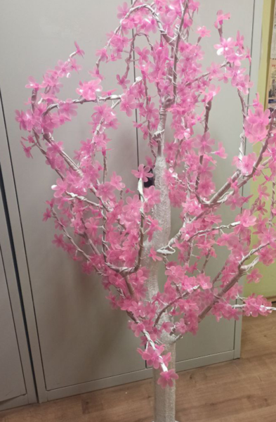 Ukradł drzewo, schował je w gołębniku, a teraz grozi mu do 5 lat więzienia