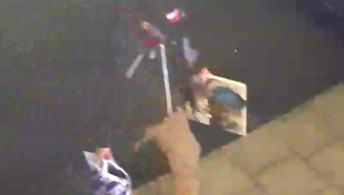 Policjanci złapali złodzieja obrazu i odzyskali skradzione dzieło