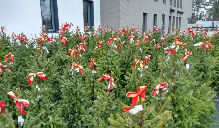 Akcja Choinka za elektroodpady - 15 grudnia 2023 r.