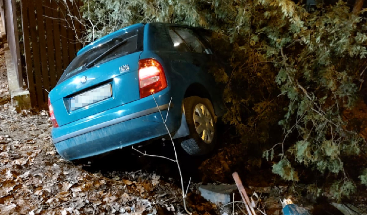 Ucieczka przed policją skończyła się na ogrodzeniu, a pasażerka trafiła do szpitala