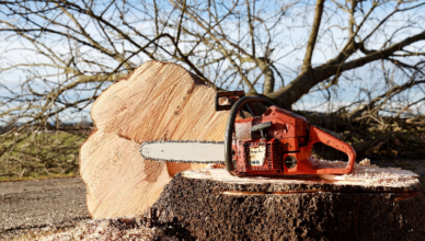 Zaatakował współlokatora piłą spalinową, grozi mu do 5 lat więzienia