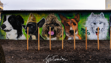 Lokalni artyści stworzyli mural na wołomińskim psim polu