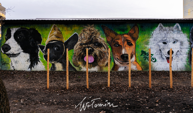 Lokalni artyści stworzyli mural na wołomińskim psim polu