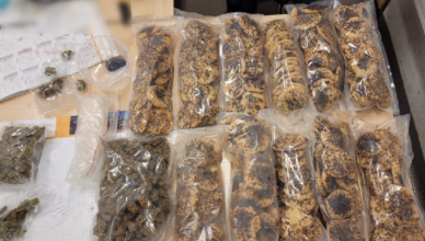 Policjanci znaleźli ciastka nasączone narkotykami w domku na działce