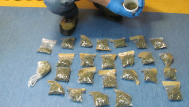 Marihuanę próbował ukryć nawet w głośniku