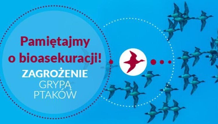 Zagrożenie grypą ptaków – pamiętajmy o bioasekuracji!
