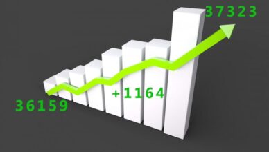 Marki - kolejny rok na plusie