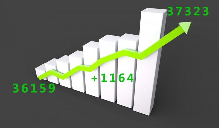 Marki - kolejny rok na plusie