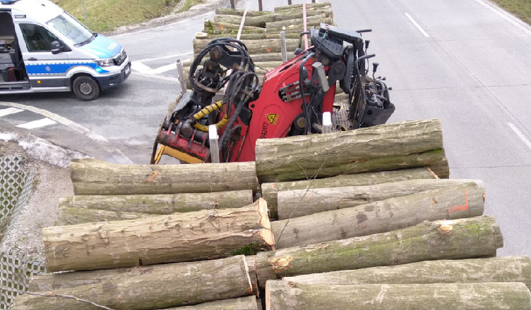 Przewoził drewno luzem, a światło cofania włączał na pstryczek [wideo]