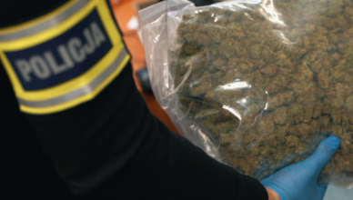 Kiedy zatrzymali go policjanci miał w aucie ponad kilogram marihuany [wideo]