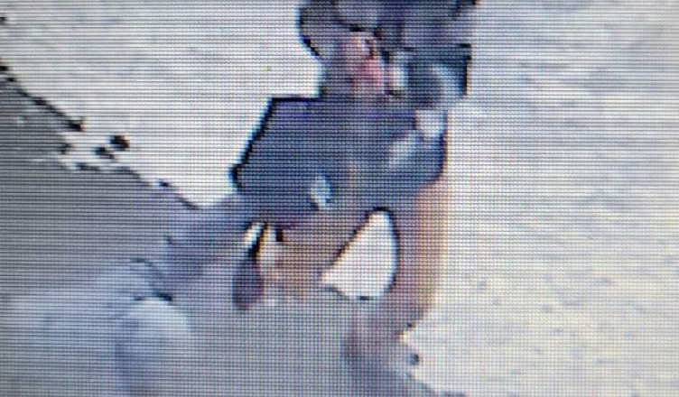 Policja zatrzymała 29, 12-latka i 17-latkę w sprawie kradzieży zuchwałych