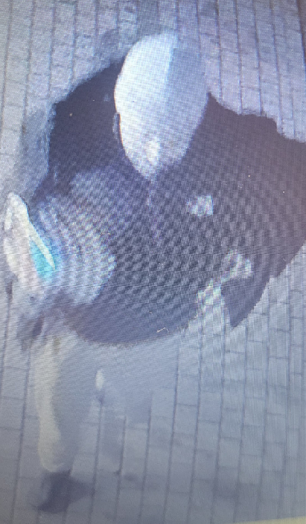 Kradzież z włamaniem do pojazdu - Policja poszukuje sprawcy