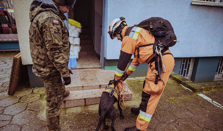 Gruzowisko, terytorialsi…i psy – szkolenie Grupy Poszukiwawczo-Ratowniczej K9