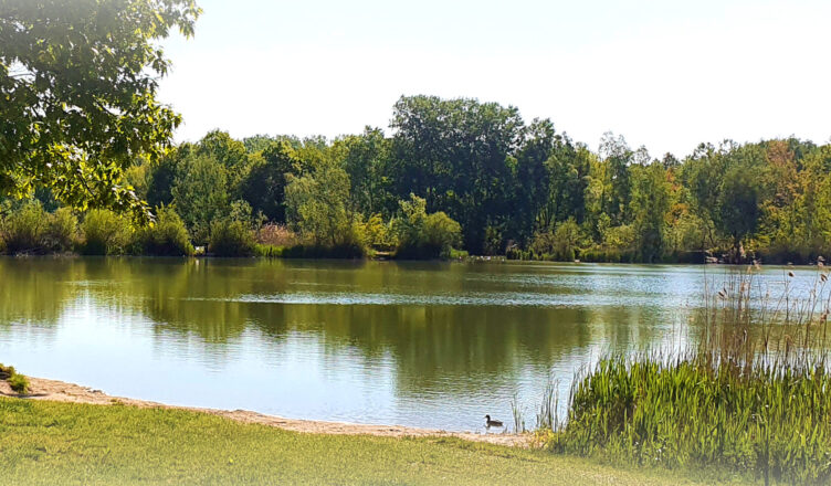 Zielonka - sprzątanie Glinianek