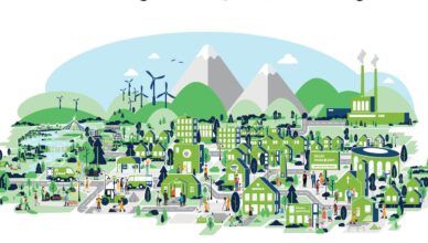 Jak podatek PIT zmienia Marki