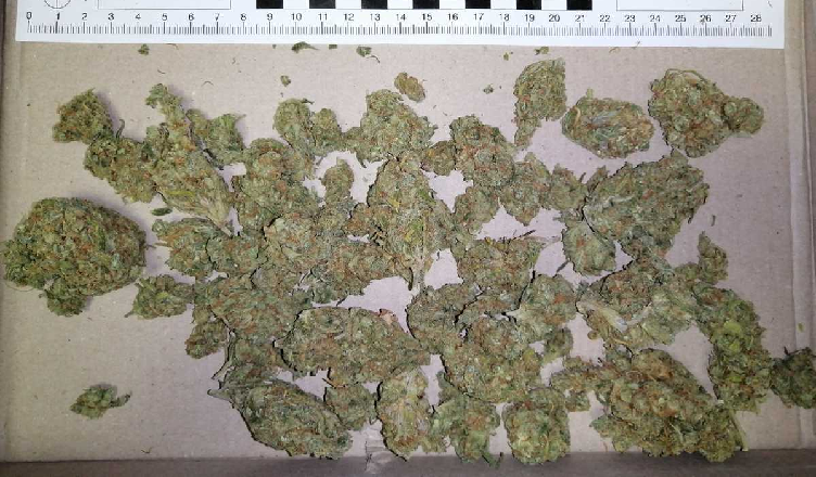 Miał przy sobie prawie 50 gram narkotyków ukrytych... w bieliźnie